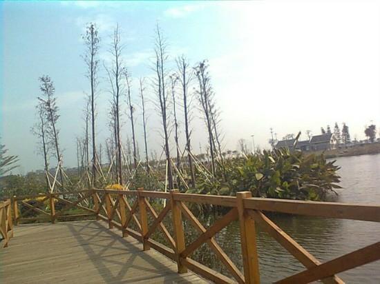 Eastern Suburbs Park